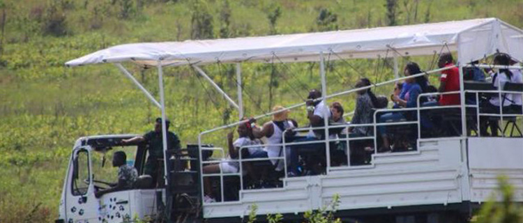 Parc de la vallée de la N'sele